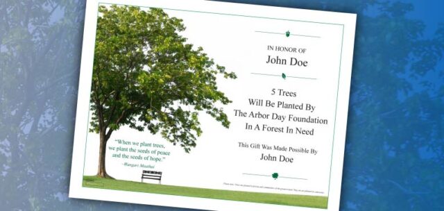 Memorial Tree Planting Certificate in Frisco TX